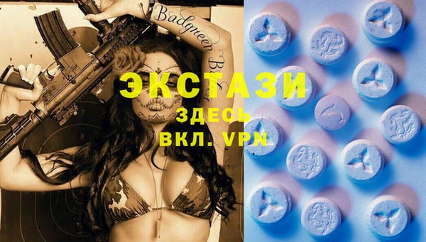 прущие грибы Алзамай