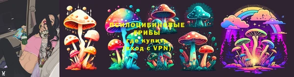первитин Алексин