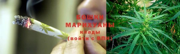 прущие грибы Алзамай