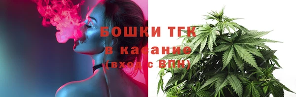 прущие грибы Алзамай