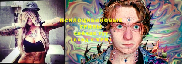прущие грибы Алзамай