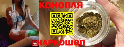 соль ск Надым