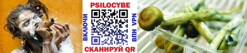 Галлюциногенные грибы ЛСД  купить   блэк спрут зеркало  Качканар 