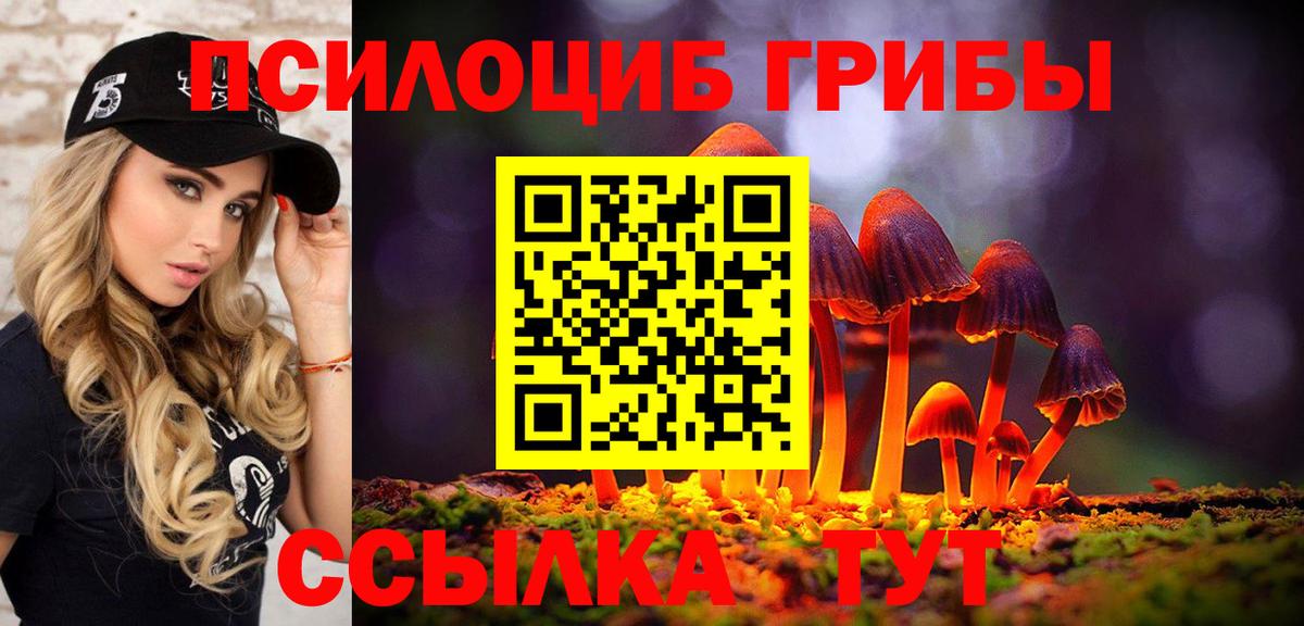 Галлюциногенные грибы ЛСД  где купить   Качканар  Вход с VPN  Псилоцибиновые грибы Cubensis 