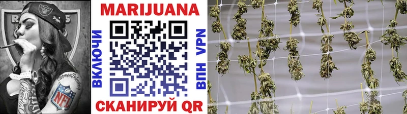 Бошки Шишки THC 21%  как найти закладки  Качканар 